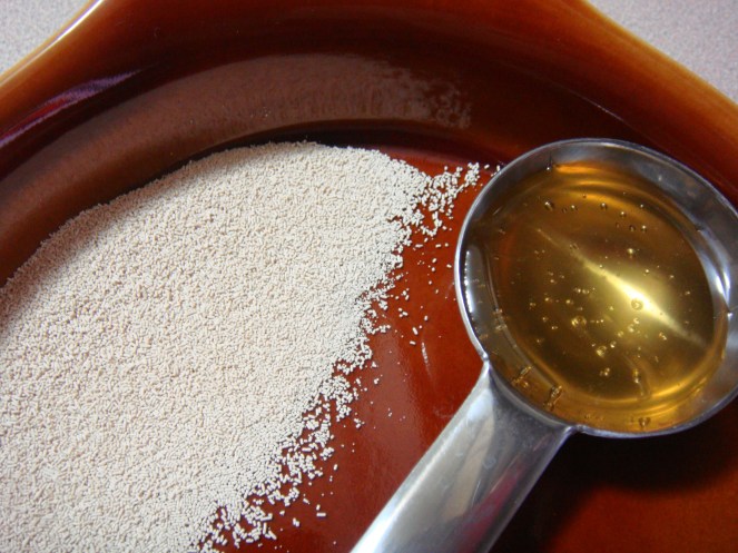 Yeast and Honey - Basic Ingredients for Bread Making. 