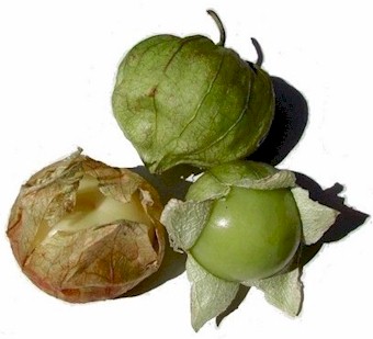 Tomatillos with husks...