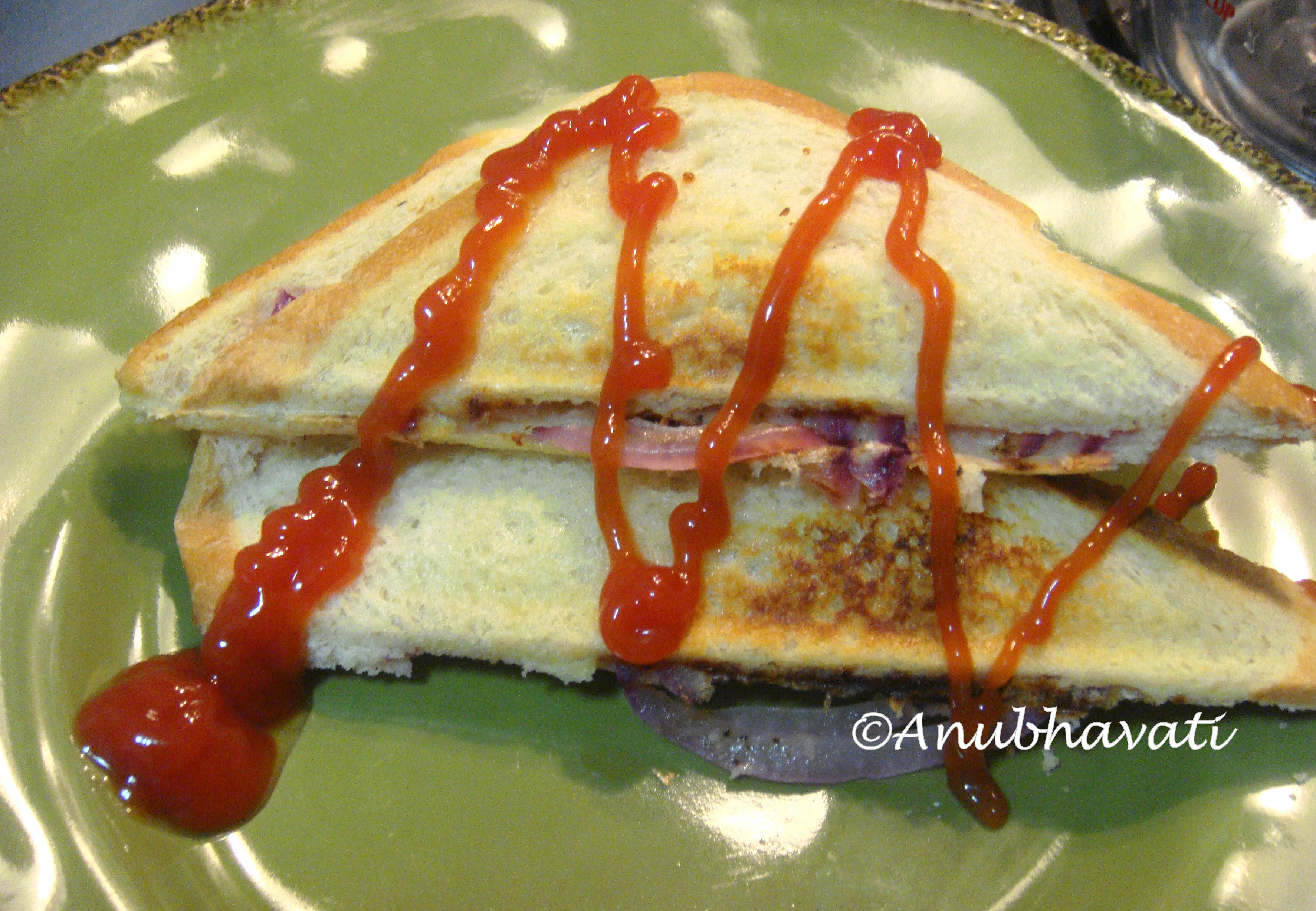 Onion Tomato Cheese Sandwich