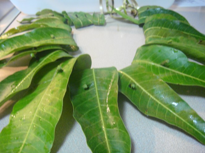 Mango Leaves threaded in to a Thoranam.