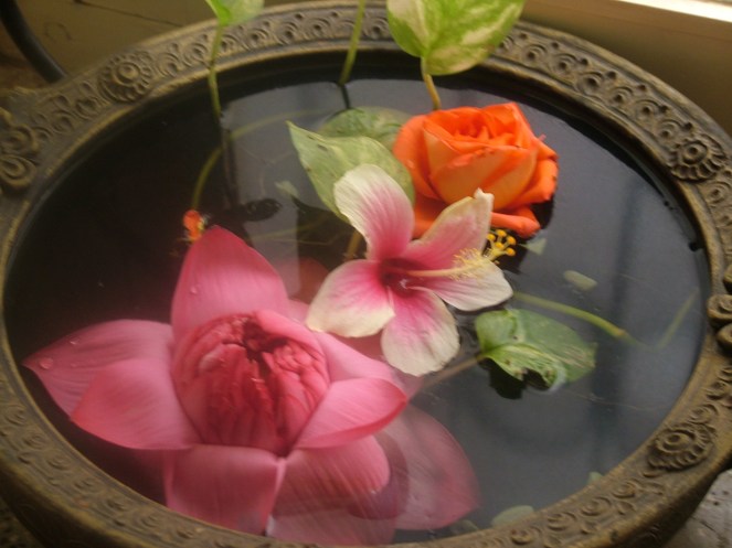 Flowers in the Terracota Uruli. 
