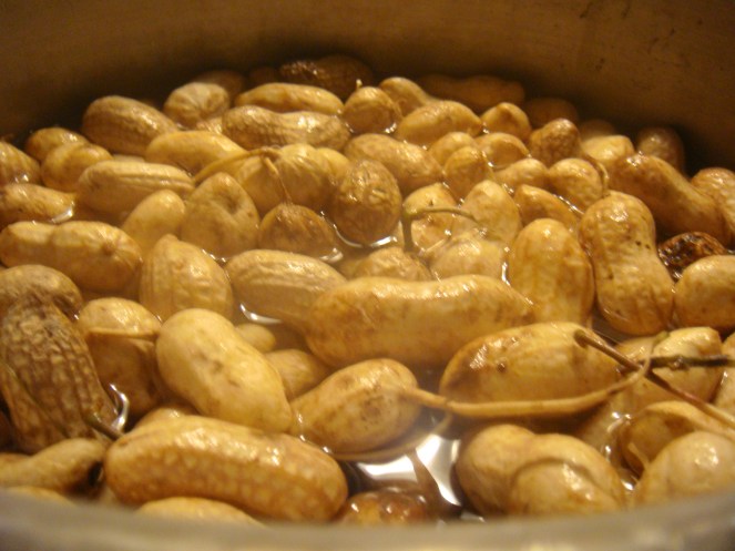 Hot Steamed Jumbo Peanuts!